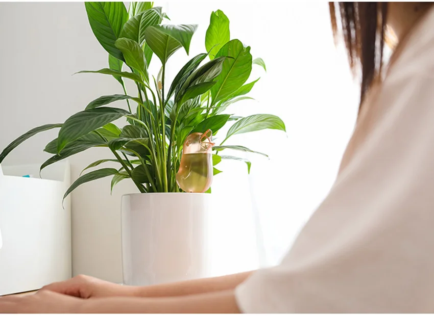 O1CN01hXQHgW1bHYwZJSE6X_!!50983440