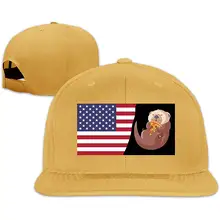 Американский флаг, забавная выдра с пиццей, мужская и женская бейсболка, унисекс, плоская бейсболка с козырьком