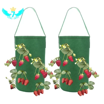 

1 Pack Hanging Strawberry Planter,Growing Bags with Pocket,Plants Pot for growing Tomato/Herbs/Flowers/Strawberries HTML