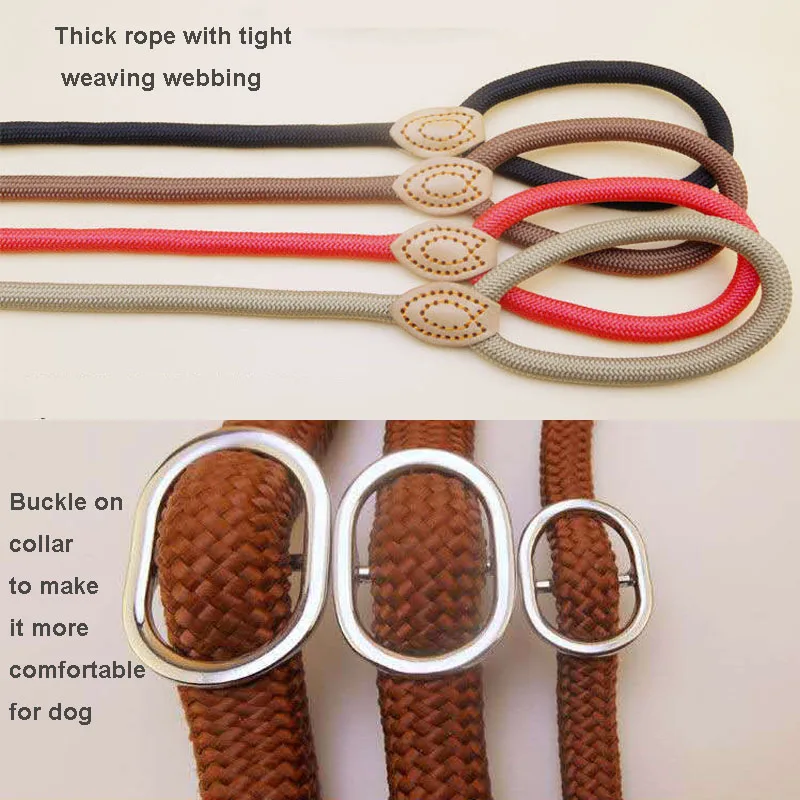 dog leash details 2