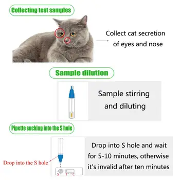 

Cat Nose Test Strip Disease Poison FHV Test Card Virus Detection Paper C63B