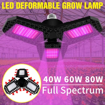 

LED Full Spectrum Grow Light E27 Flower Seed Plant Lamp LED Seedling Fito Lights 40W 60W 80W Flower Vegetables Growth Box 220V