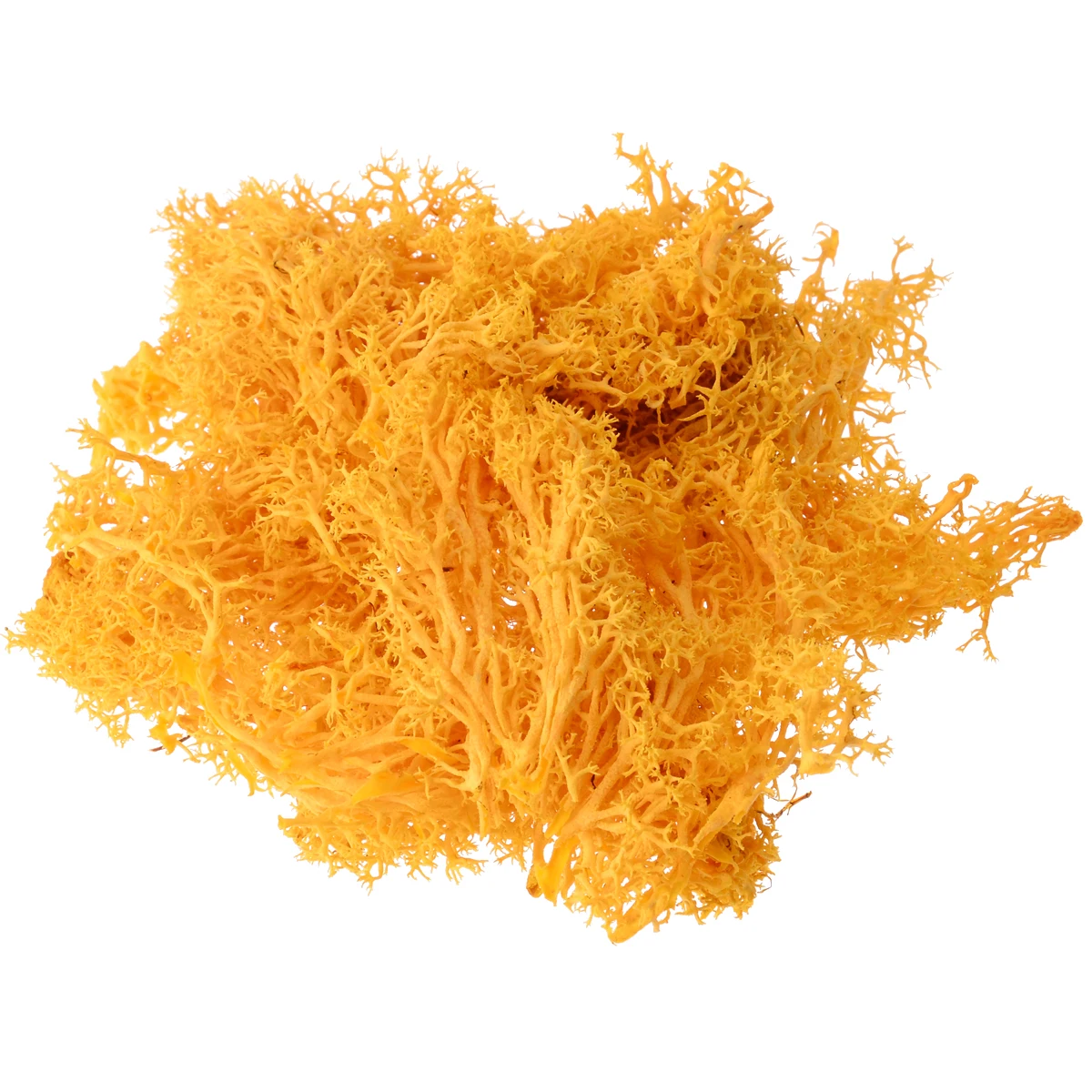 Orange 1 шт 10 г сделай сам Искусственный мох поддельный мох декоративный Зеленый завод для дома и сада Свадебные украшения микро Ландшафтные аксессуары - Цвет: Orange