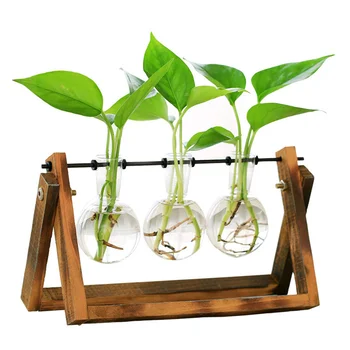 

Desktop Glass Planter Bulb Vase with Classic Solid Wooden Stand and Metal Swivel Holder for Hydroponics Plants Home Garden Weddi