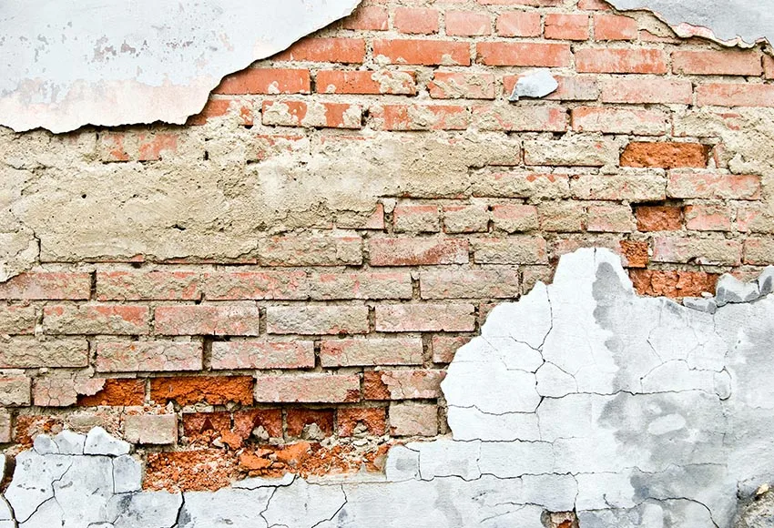 Винтажные Домашние животные фотоснимки фоны Дети красная кирпичная стена