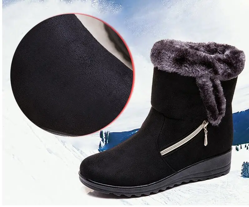 QQ截图20190829150923