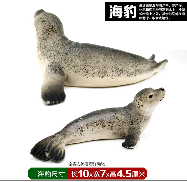 Oceans Solid Model Animal Model Non-Shark Whale Shark Killer Whales Turtles Sawfish Great White Plastic Manta Rays