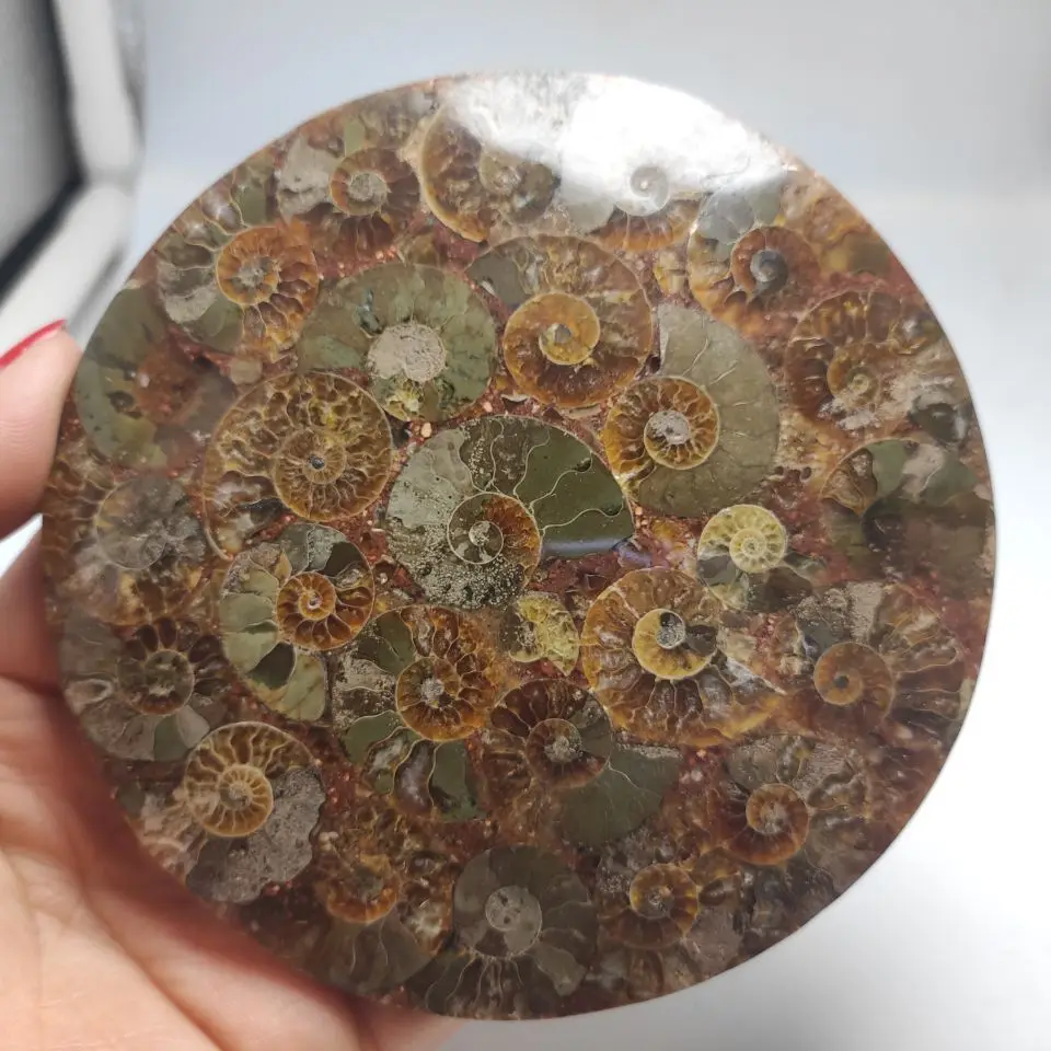 QQ图片20200513153720