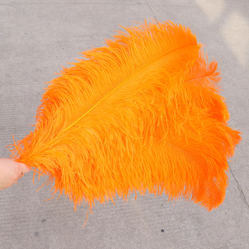 TS0165011 65-70cm ostrich feathers 2