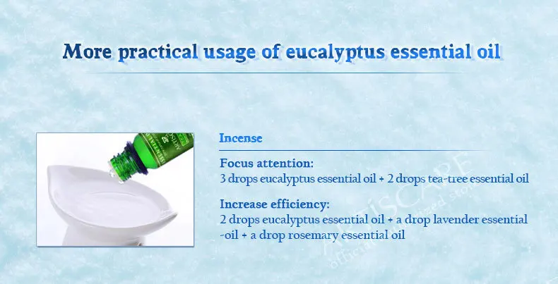 eucalyptus_08