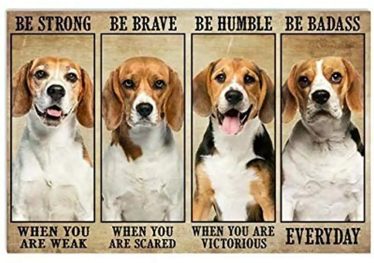 Постер Beagle Be Strong Brave Humble Badass Cat железная живопись для дома и семьи подарок