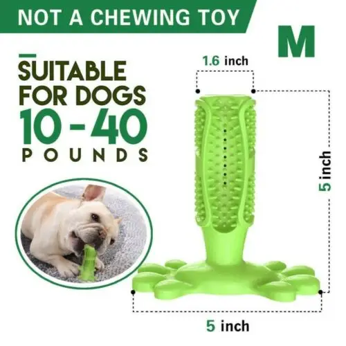 Зубная щетка для собак, игрушка для жевания, собачка, кисточка палочка, мягкая резиновая зубная щетка для чистки зубов, массажная зубная паста для маленьких собак, домашних животных, зубная щетка es - Цвет: Green M