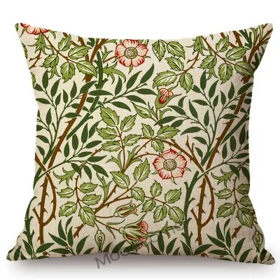 conew_t524 (52) 副本