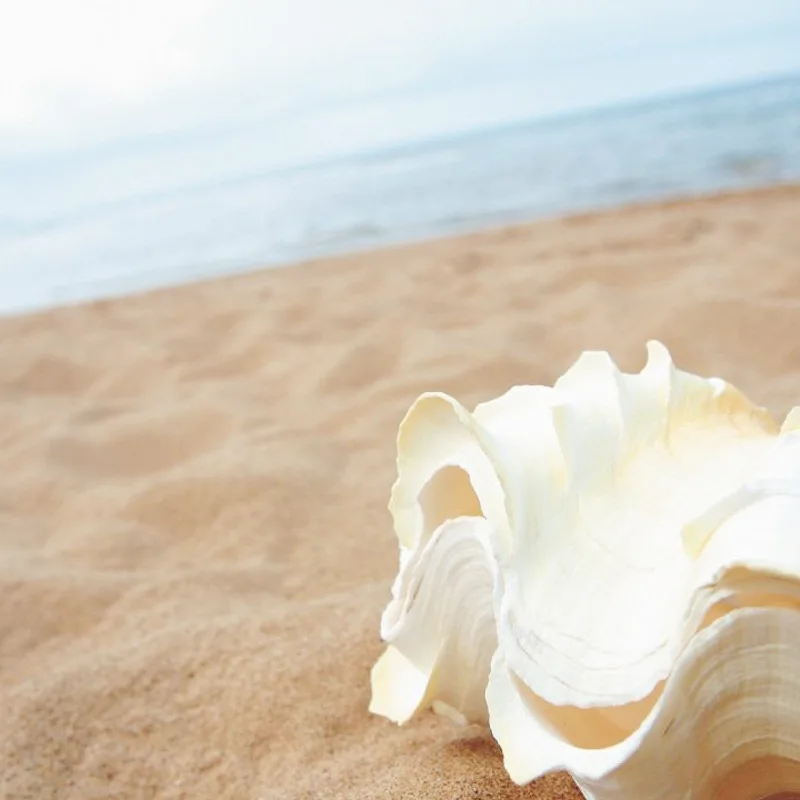 

Baby Children Sand Toy Sand Natural Sand Mechanism Game Sand Table Sand Fish Tank Bottom Sand