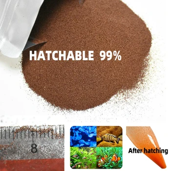 

100g250g500g fresh artemia Brine Shrimp Eggs fish feed Premium Quality Marine Fish Food shrimp food hatching eggfood fish