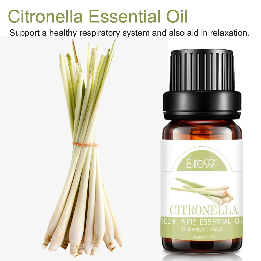 香茅.jpg_.webp 香茅.jpg_.webp