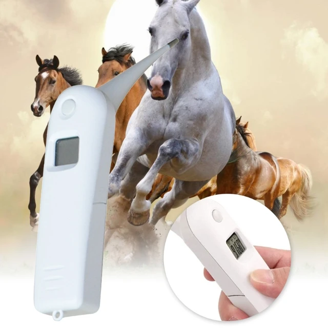 Thermomètre pour chevaux et - Vetexpress Vétérinaires