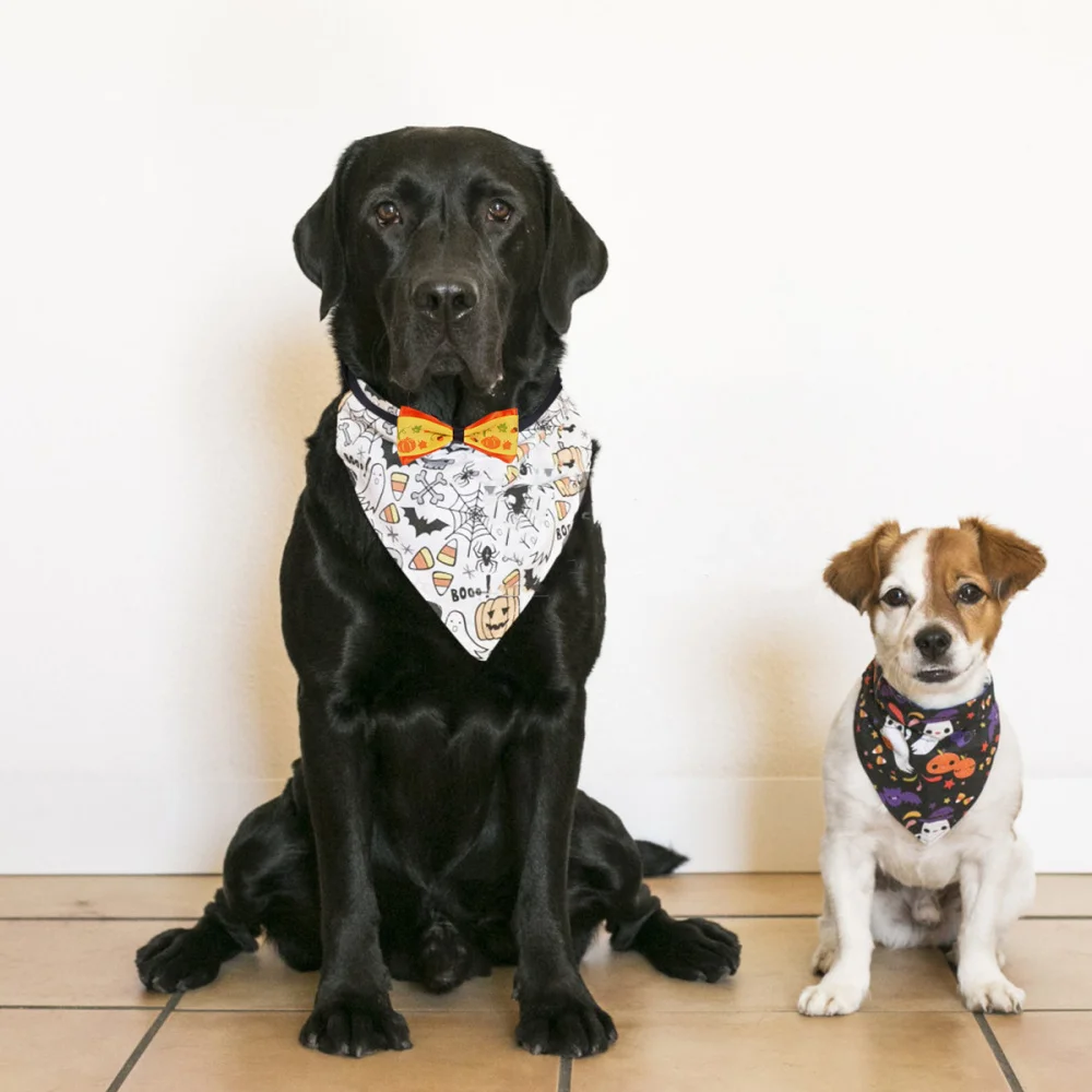 12 шт. Регулируемый ошейник для собаки на Хэллоуин Милая цепочка шею кольцо