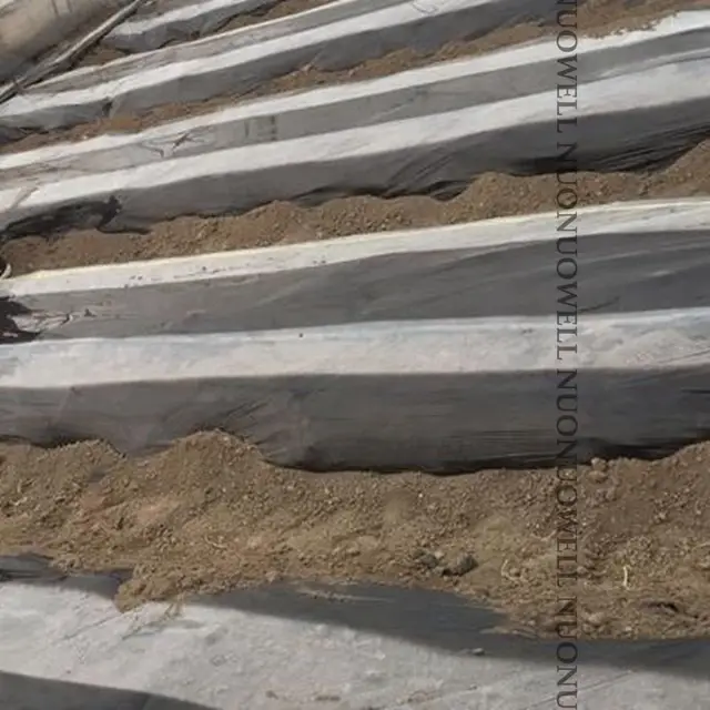 5M 2-Sorok Fehér Mezőgazdaság Fekete Film Zöldség Ültetése Műanyag Talajtakarás Növények Kártevő Gyomirtás Tartsa Meg A Meleg Termést - Image 6