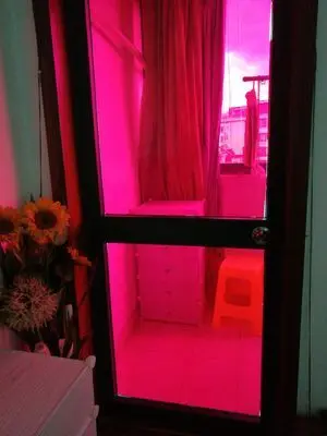 HTB1llp6bFuWBuNjSspnq6x1NVXae