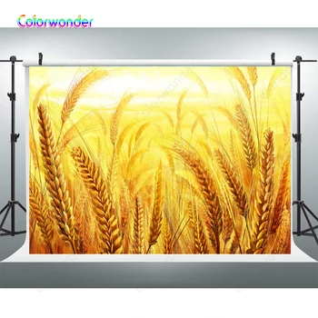 

Vinyl golden wheat Photography Backdrop baby shower newborn children Birthday Party Photo Background Background Photo Studio