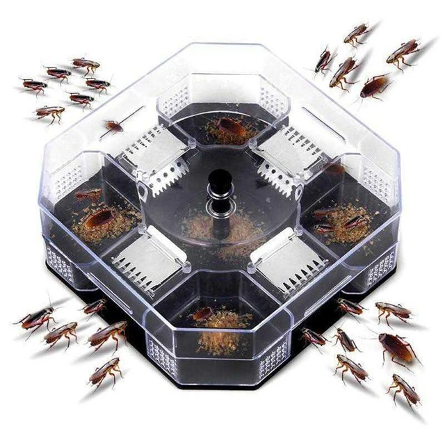 Cockroach Trap with Baits Plastic Reusable Non-Toxic Bug Roach Catcher  Insect Pest Killer - AliExpress