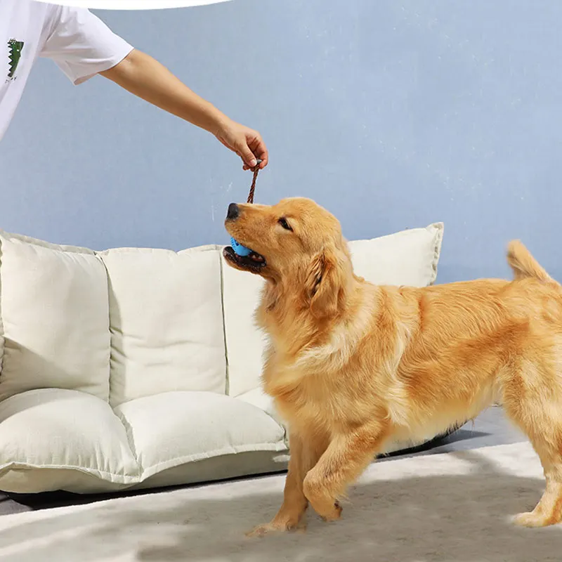 Hot Pet Dog Chewing Toy Toothbrush Food Puzzle Leaking Dog Training Toy FQ-ing