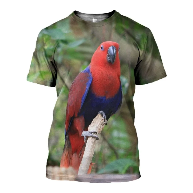D_c_Eclectus_Roratus_3D_DT010803_T_shirt_800x