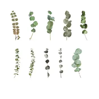 

Vintage Fall Plants Flowers Journal Decorative Sticker Label Diary Stationary