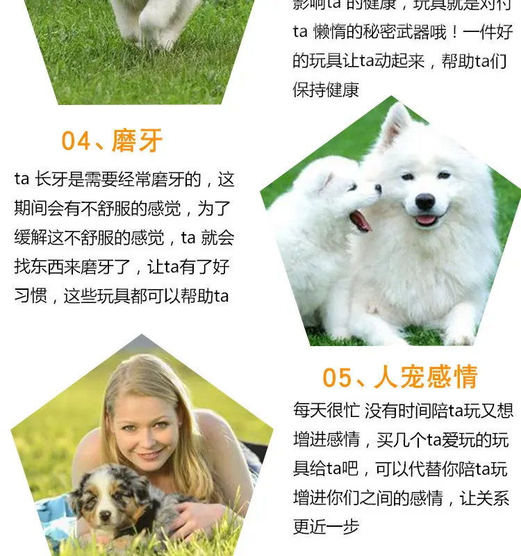 ПЭТ РЕЗИНОВАЯ ИГРУШКА Милая ткань стрельба старт мяч Pet fa sheng qiu игрушка собака зубы игрушка кошка игрушка