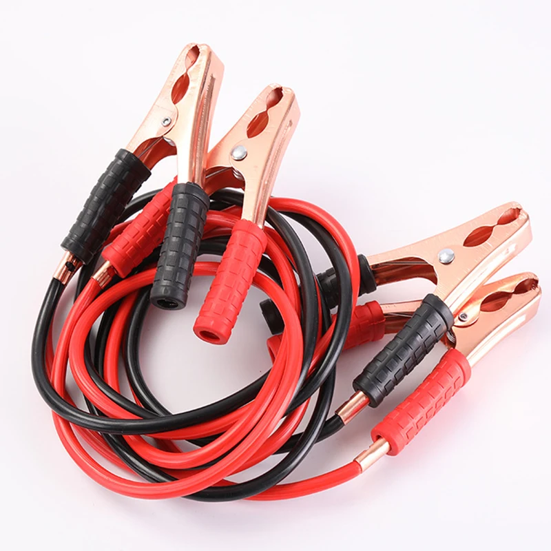 9239942880_1733357245