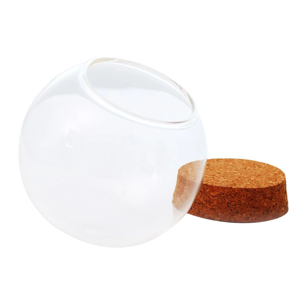 Glass Display Cloche Terrarium Ball Shaped Cover Cork Base with Wooden Base