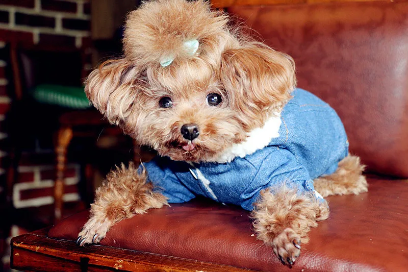 详情页 (11).jpg_.webp