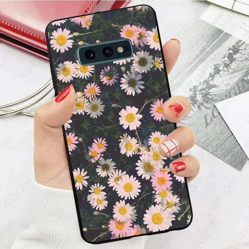 daisy flower