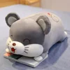 1pc 40 70cm Lovely Hamster Pig Mouse Plush Toys Cartoon Stuffed Soft Animal Pillow with I Wanna Hug One!