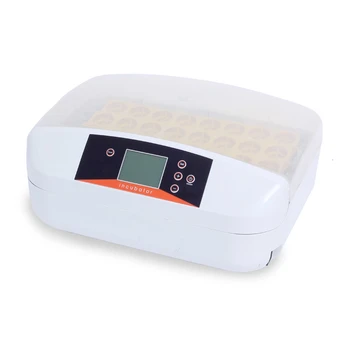 

One-button Operation 56 Incubator Eggs Automatic circulating air duct Incubadora Couveuse Thermostat for 12V/220V