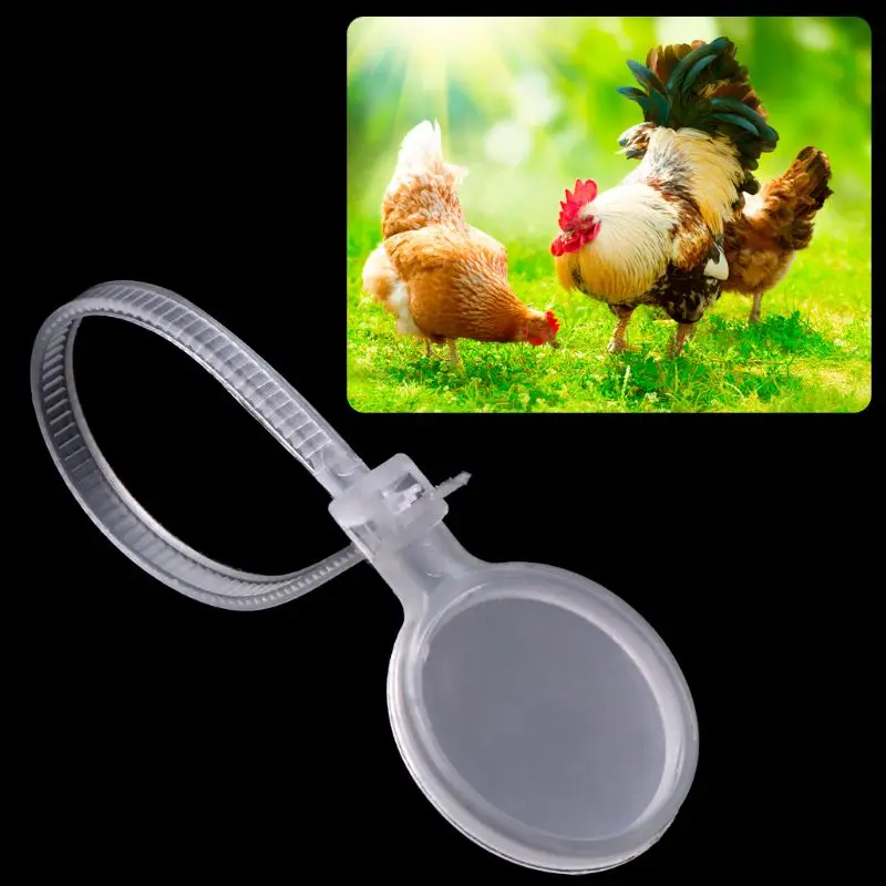 

20 Pcs/Set Poultry Anklet Ring Identification Mark Marker Plastic Duck Chicken Hen Chick Goose Crab Paw Rings Equipment J6PD