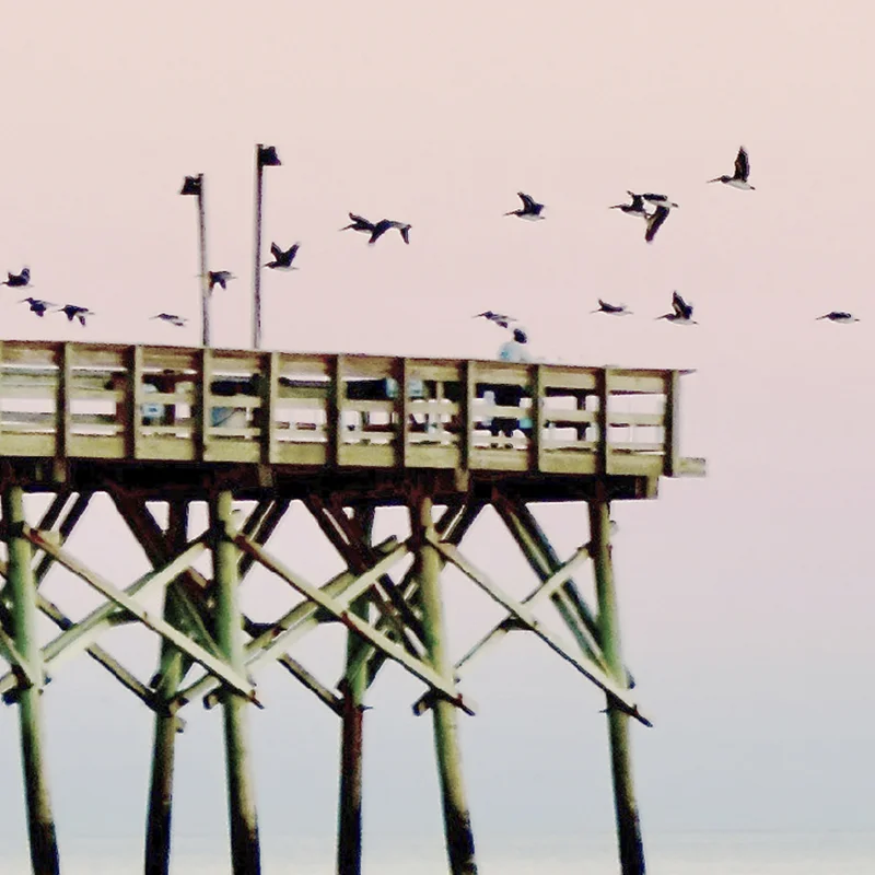 Coastal Wall Art Gallery Prints Pastel Triptych Ocean Beach Art Blush Posters Art Canvas Painting Pictures for Living Room Decor Coastal Wall Art Gallery Prints Pastel Triptych Ocean Beach Art Blush Posters Art Canvas Painting Pictures for Living Room Decor