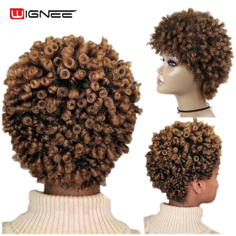 

Wignee Short Hair Afro Kinky Curly Heat Resistant Synthetic Wigs for Black Women Mixed Brown Cosplay African Hairstyles Wigs