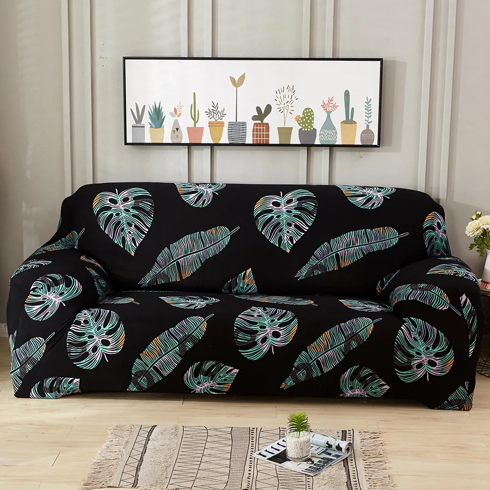 14241786842_2135618894