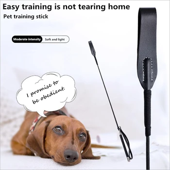 

Pet training sticks, dog training whip, cat and dog training tools, dog whip, dog punishment tools, pet supplies