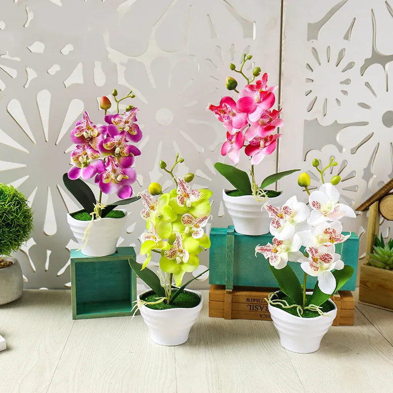 silk orchids australia