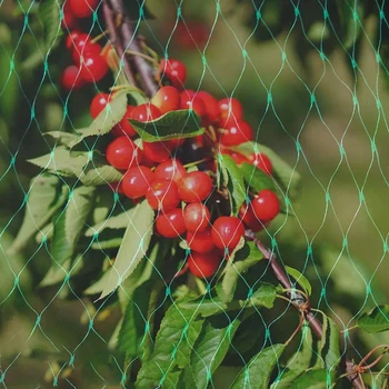 

Covering Anti-bird Net Protect Tree Crop Cultivation Mesh 2*12M Green 1pcs