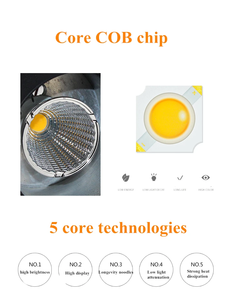 O1CN01e9O3KC1rsEazXK8HP_!!2840275686