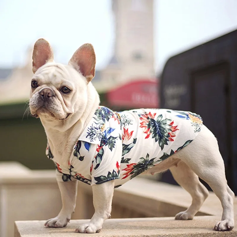 Precio reducido Ropa de Estilo Hawaiano para Perro, Ropa de mascotas para verano, Bulldog Francés, Ropa para mascotas para perros pequeños y medianos, cachorro, Chihuahua AjXNeOR19G9