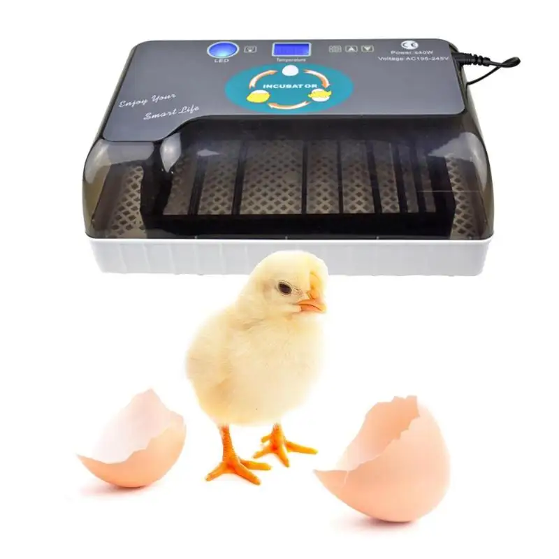 12Egg инкубатор инкубаторы курица Incubadora автоматический фермерский перепелиный инкубатор для яиц с шнур питания ЕС/USPlug