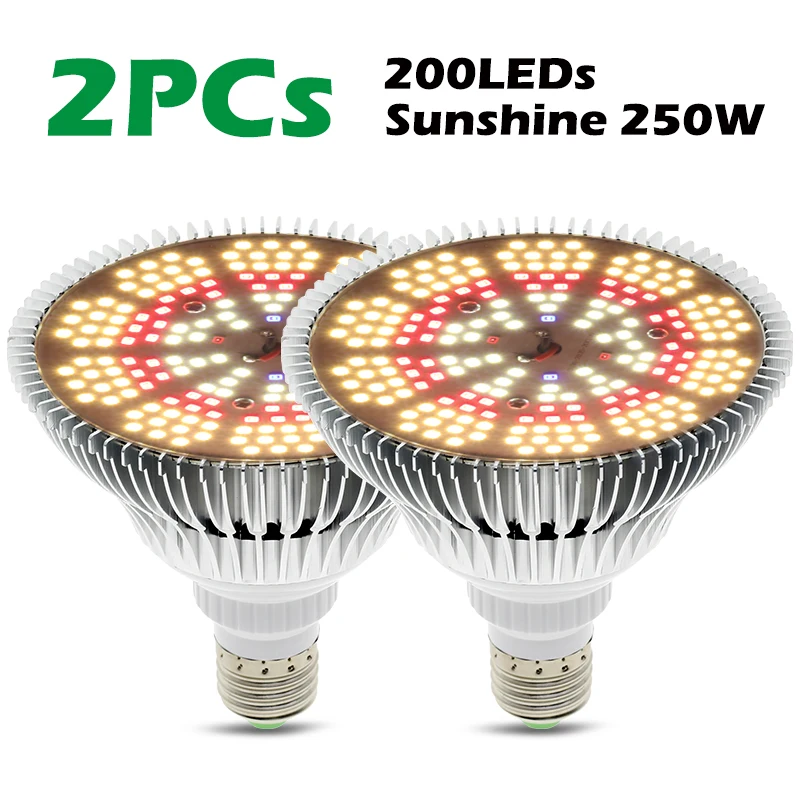 Sunshine 2Pcs