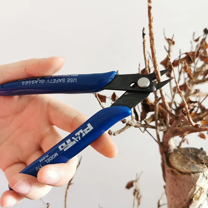 QQ图片20200729092113