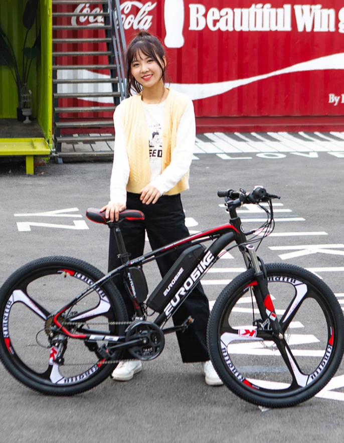 Eurobike E9 Electric Bicycle 36v 250w 