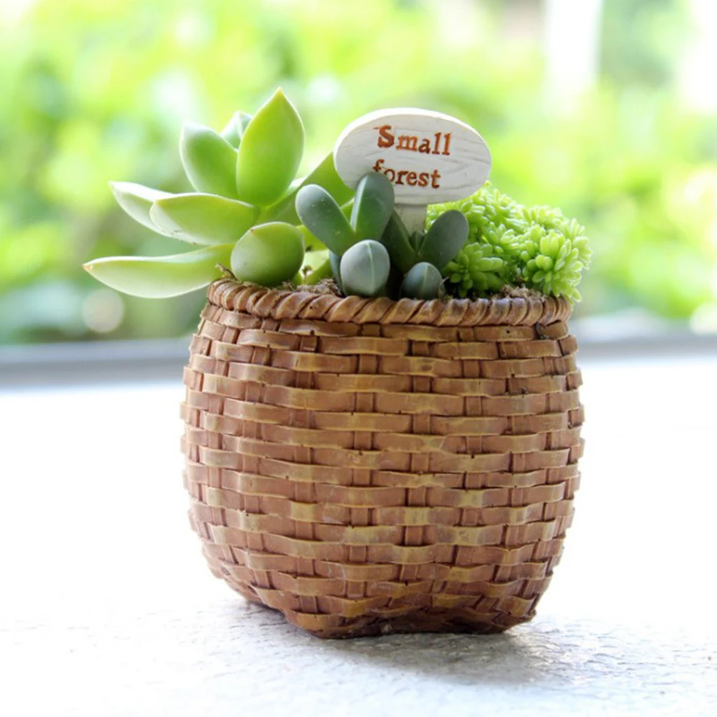 Vintage Style Resin Succulent Planter Pot Cactus Planter Box Fairy Garden Decor DIY Home Desktop Flowerpot Vintage Style Resin Succulent Planter Pot Cactus Planter Box Fairy Garden Decor DIY Home Desktop Flowerpot